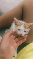 Não colocamos nome