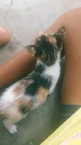 Não colocamos nome