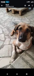 Bolinha
