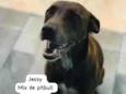 Jessy