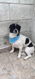 Théo