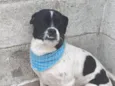 Théo