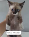 ..........