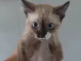 ..........