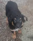 Baby