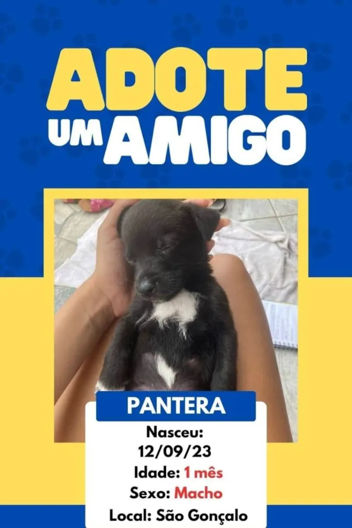 Cachorro ra a SRD-ViraLata idade 2 a 6 meses nome Os Simpsons 