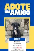 Os Simpsons 