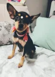 Atena