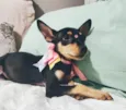 Atena