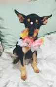 Atena