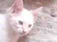 Aurora e Babi