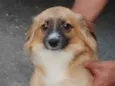 Bernardo 