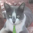 Fred