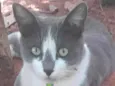 Fred