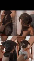 Nome a sua escolha