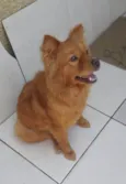 Bella