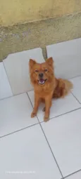 Bella