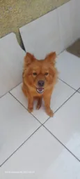 Bella