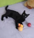 Luizinho