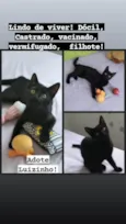 Luizinho