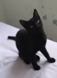 Luizinho