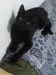 Luizinho