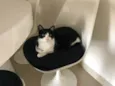 Nina fofinha