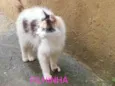 Filhinha