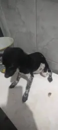 Minnie
