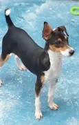 Maylo