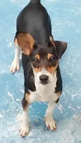 Maylo