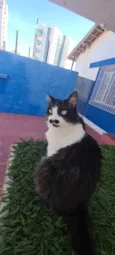 Manú