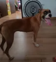 Mel