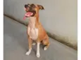 Mel