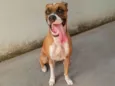 Mel