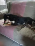 Miguel