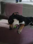 Miguel