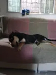 Miguel