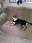 Miguel