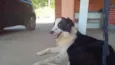 Marley