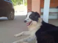Marley