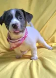 Laís