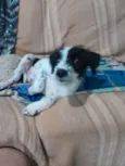 Bella