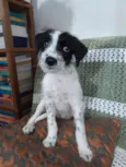 Bella