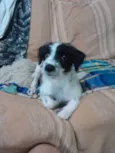 Bella