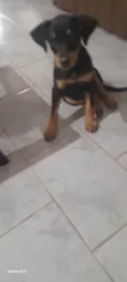 Lola