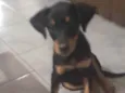 Lola