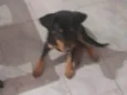 Lola