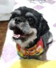 Júnior 