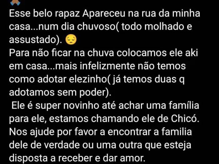 Cachorro ra a Indefinida idade 7 a 11 meses nome Chico